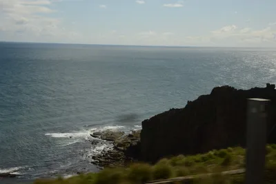 DSC_7266 (Large).JPG